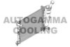 AUTOGAMMA 107088 Radiator, engine cooling